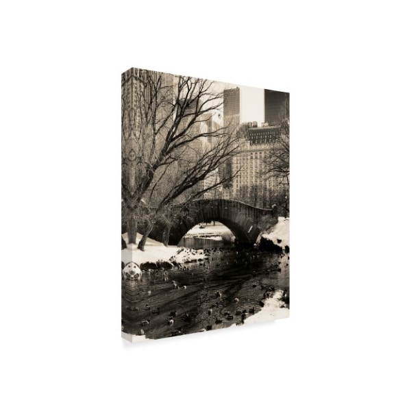 Chris Bliss 'Central Park Bridge 1' Canvas Art,18x24